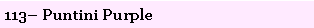 Text Box: 113� Puntini Purple